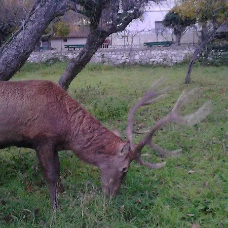 Les 3* Villetta Barrea
