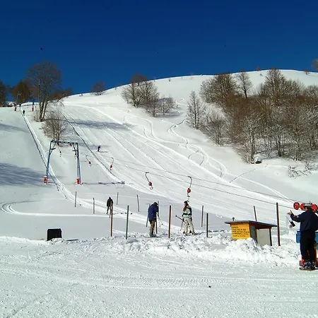 Nocleg ze śniadaniem Les 3*