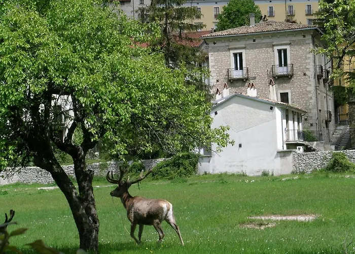 Les וילטה בריאה