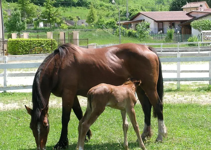 לינה וארוחת בוקר Les 3*