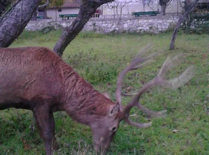 Les 3* וילטה בריאה